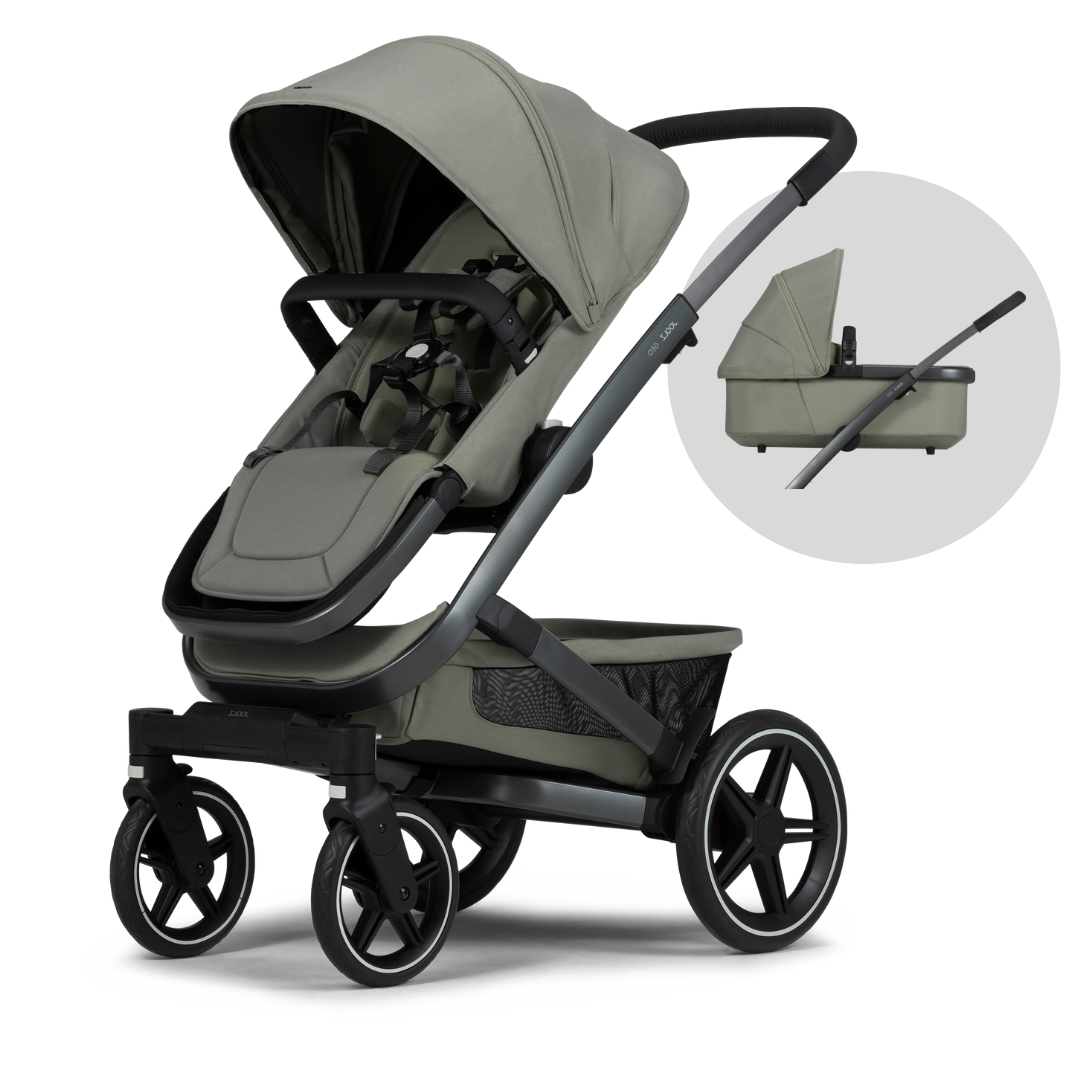 Pushchair and carrycot sales set